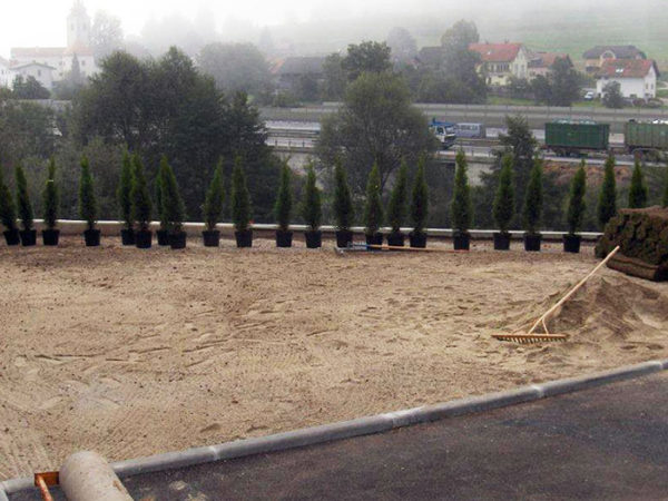 Travnik pred obnovo okolice vašega doma